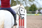 Eventers Training Day Thursday 11th - Click to View Photos portfolio