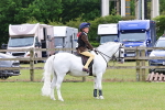 SBM_09596