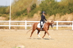 SBM_017581