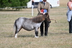 WJ7_8189