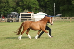 SBM_10582