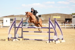 SBM_007334