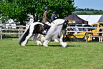 SBM_19353