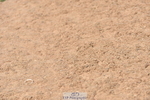 230811A-125916-05013