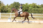 SBM_006526