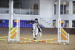 SBM_003206