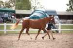 SBM_07067