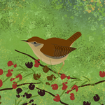 Wren
