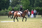 WJ6_5658