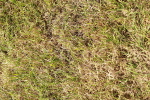 SBM_01726