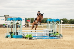 SBM_017710