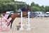 BPP_6437