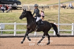 BPP_7797