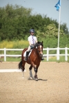 SBM_008785