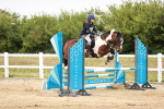 SBM_009019