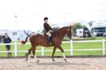 SBM_01908