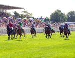Race 5 16.18pm NRFC Leading Roof Excellence Fillies' Handicap portfolio