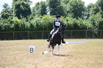 WJ6_4313