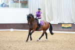 SBM_002304
