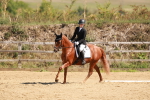 SBM_010679