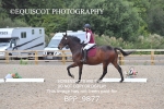 BPP_9877