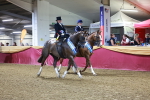 SBM_15191
