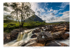 Highland Summer