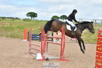Cls 19 Snr Foxhunter and 1.20m Open portfolio