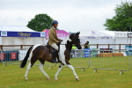 SBM_00884