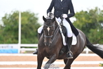 Cls 5+6 FEI Inter I BRONZE & SILVER portfolio