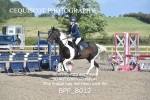 BPP_8012