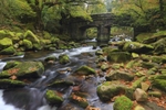 Shaugh Bridge
