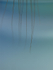 Blue 4