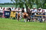 SBM_05806