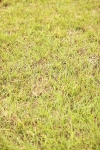SBM_06012