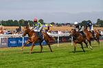 140726-Race 3-Pendella-0384
