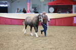 SBM_17455