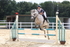 3E7A2492