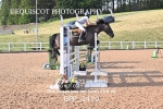 BPP_2410
