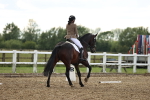 SBM_002584