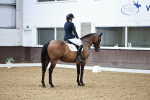 SBM_006055