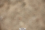 250621-131856-09142