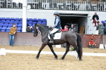 SBM_010177