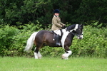 WJ7_2319