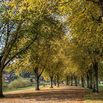 The Quarry Shrewsbury