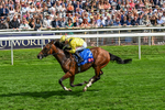 220826-Race 2-Infraad-0317