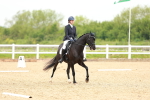 SBM_006500