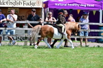 SBM_05749