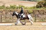 SBM_000808