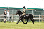 SBM_07139